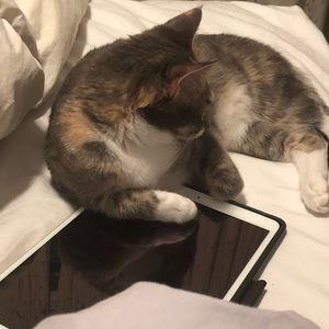 Meet your Posher, Alyssa